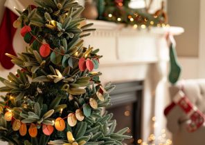 Premiere guirlande de noel